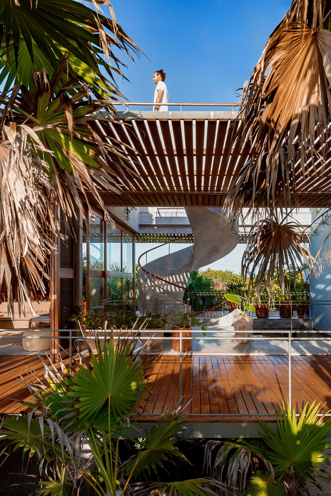Casa Bautista — jardín selva acceso, Sian Ka'an