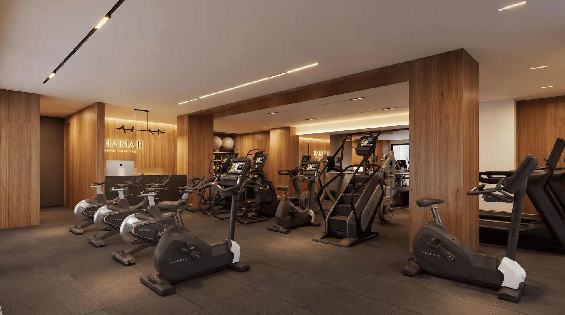 Gimnasio equipado Matrix en Dhamar Costa Mujeres Cancún
