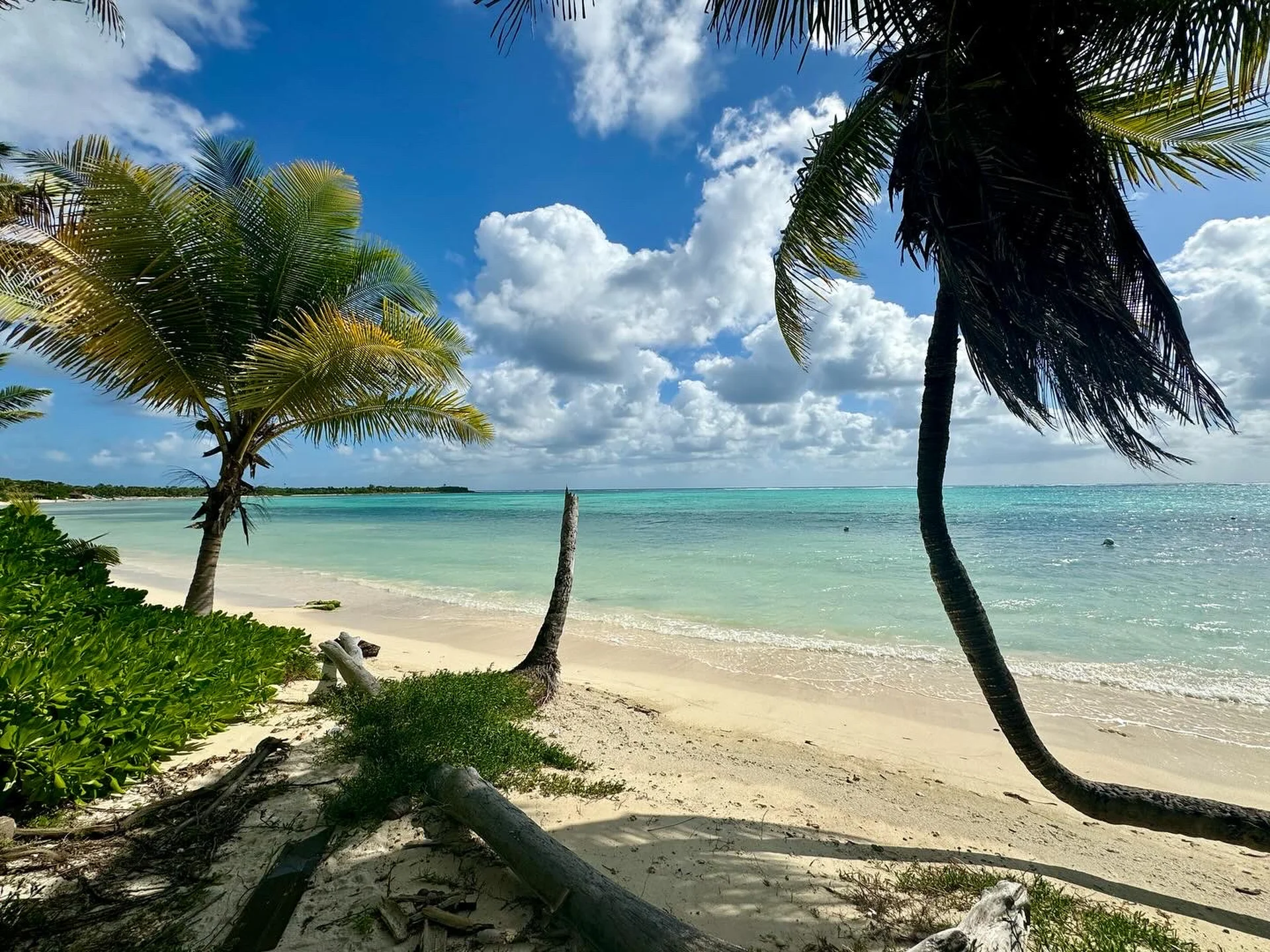Playa con palmeras y mar turquesa frente a NEEA Bahía Soliman, Tulum