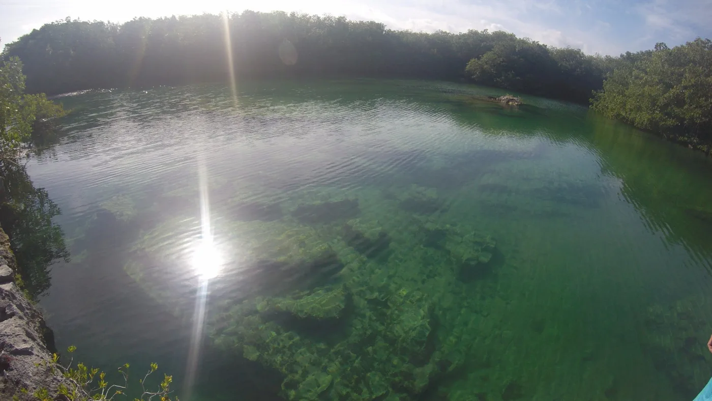 Cenote Media Luna in Puerto Aventuras — clear green water surrounded by mangrove and rock