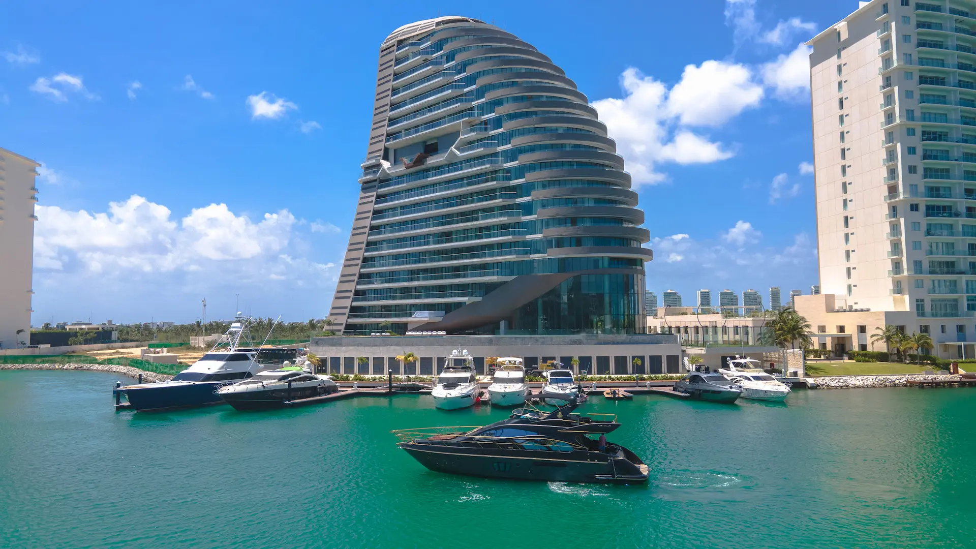 Shark Tower