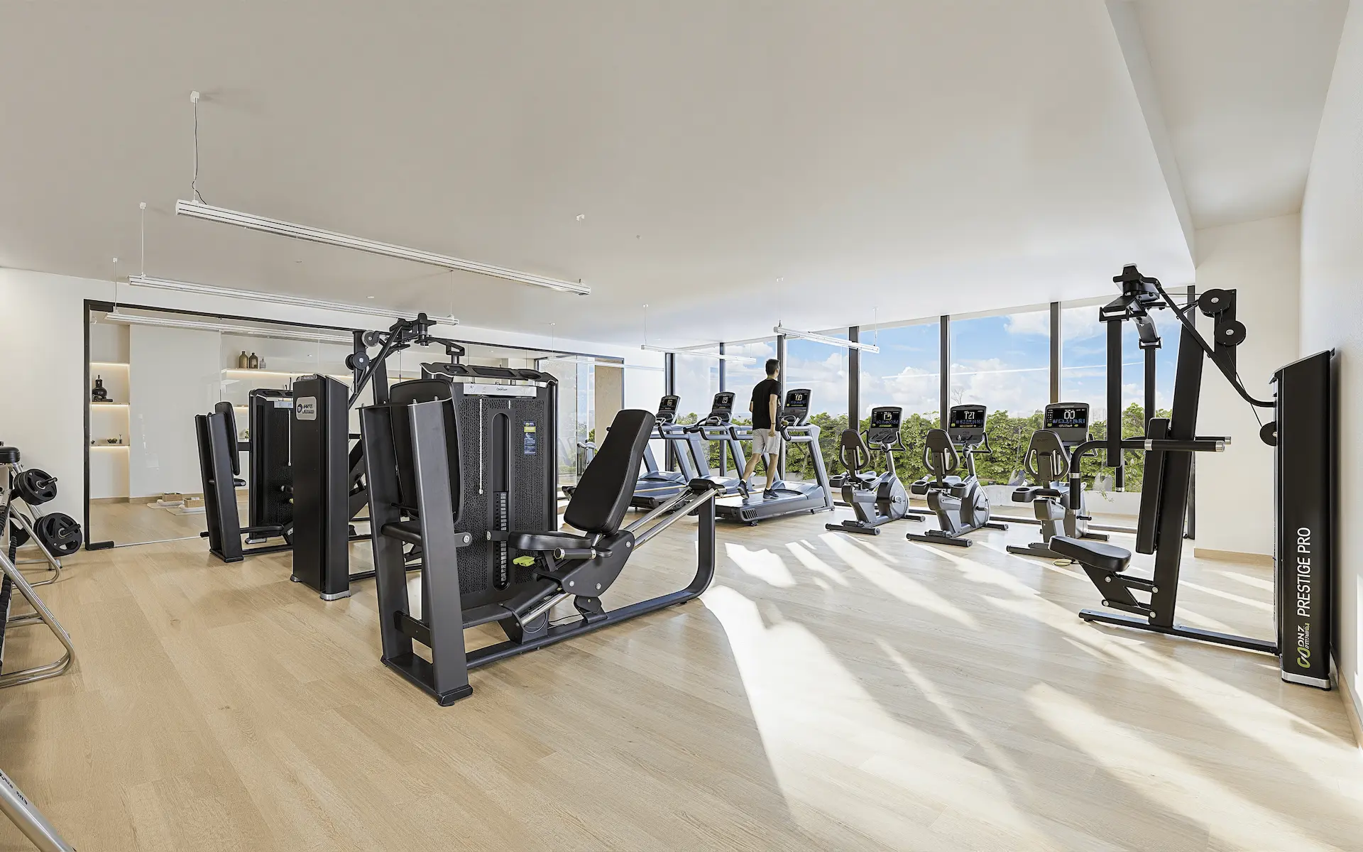 Velmari gym